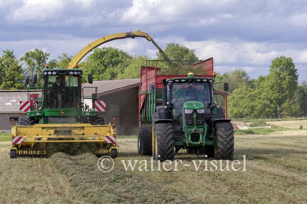 1259D301