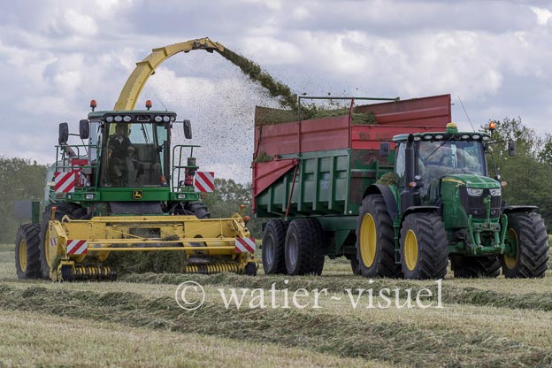 1259D303