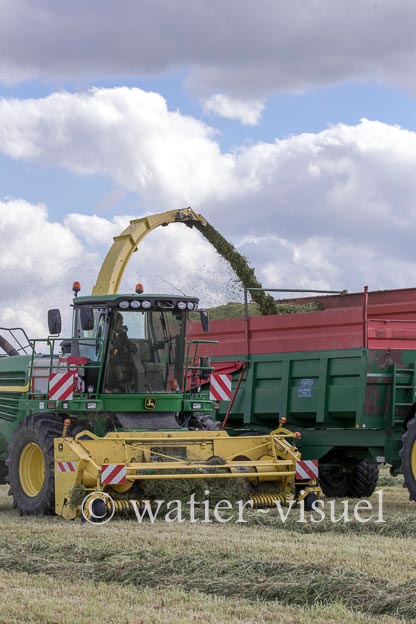 1259D305