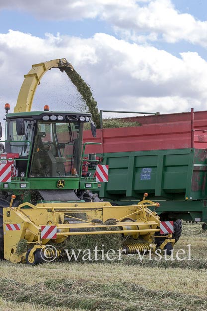 1259D306