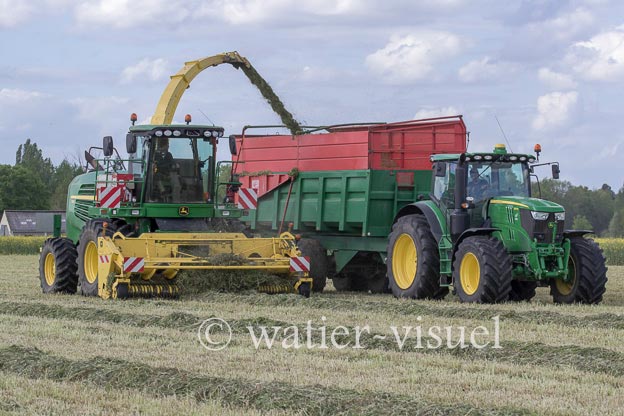 1259D313