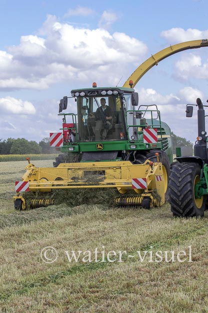 1259D317