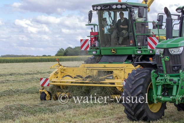 1259D318
