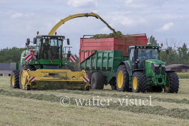 1259D319