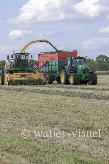 1259D320