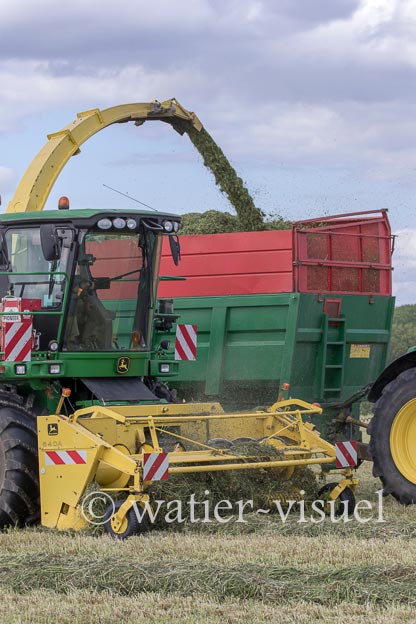 1259D323