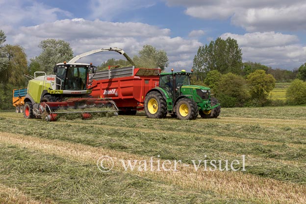 1259D350