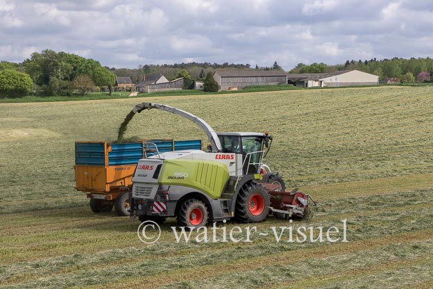 1259D401