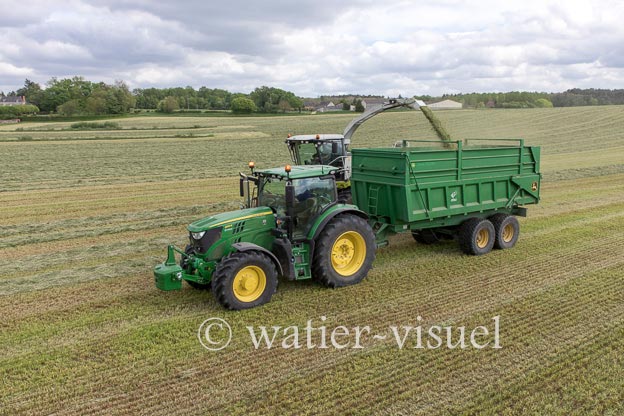1259D420