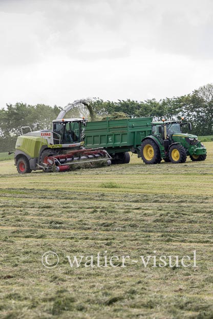 1259D528