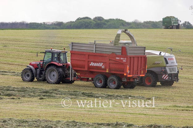 1259D530