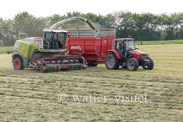 1259D534