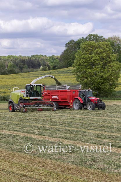 1259D602