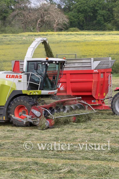 1259D604