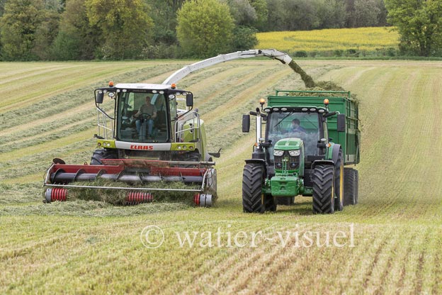 1259D650