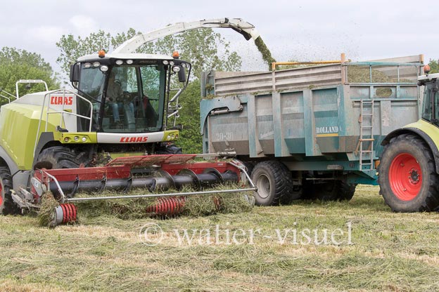 1262D175