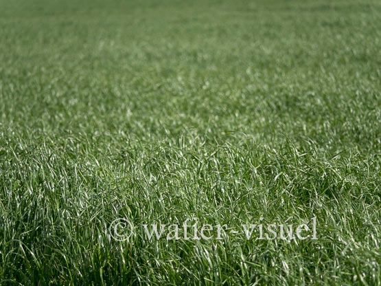 1182D008