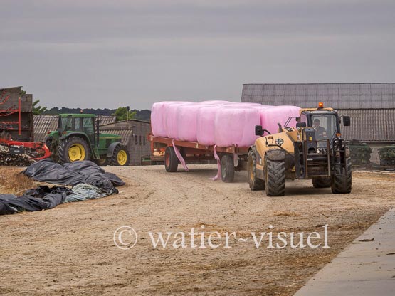 1186D250