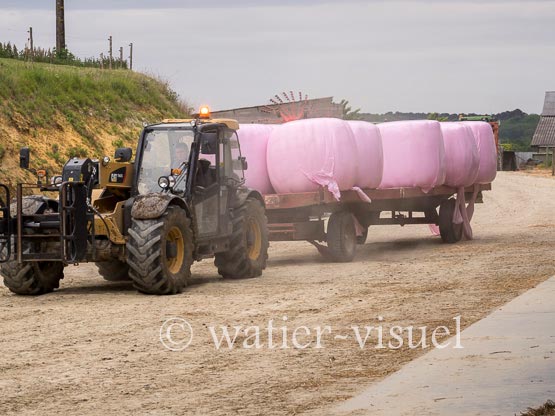 1186D252