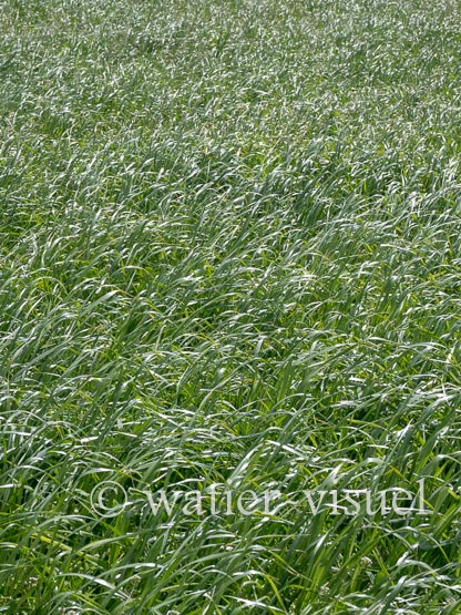 1224D018