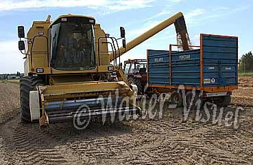 0294D029