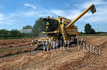 0294D031