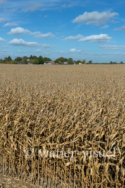 1211D180