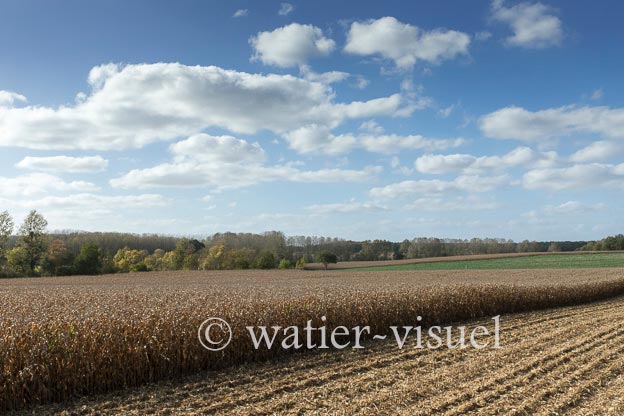 1211D202