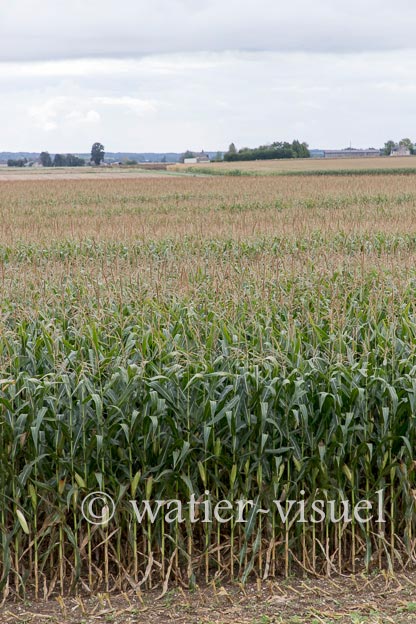 1221D180