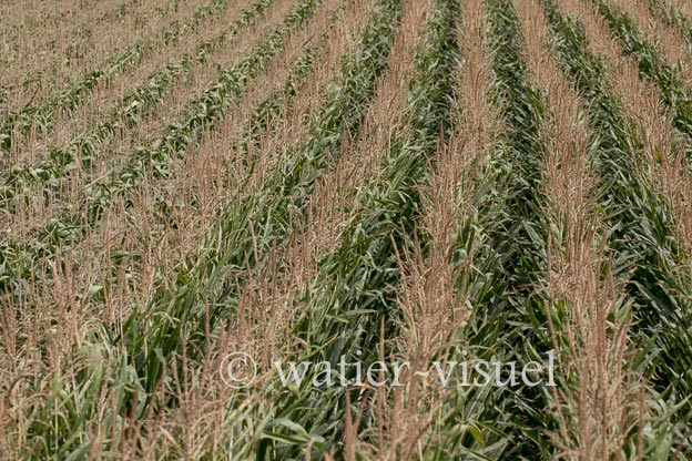 1221D200