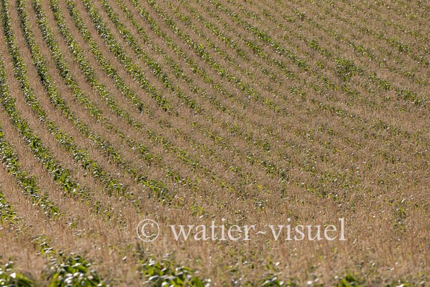 1221D232