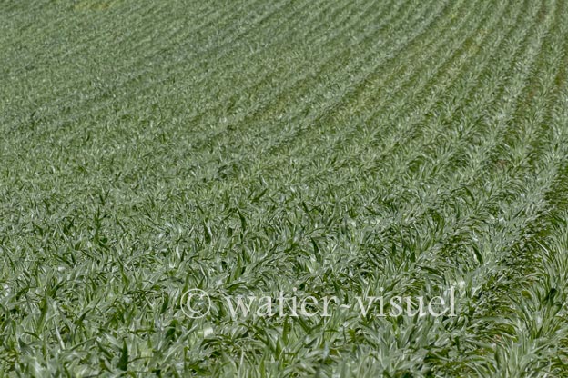 1239D283