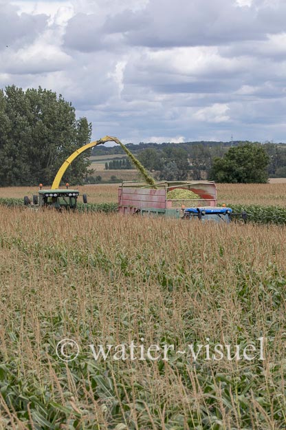 1220D753