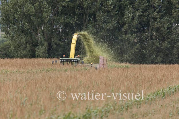 1220D768