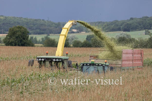 1220D770