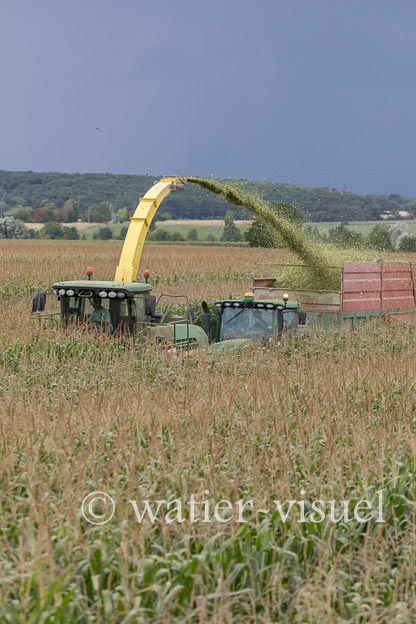 1220D772