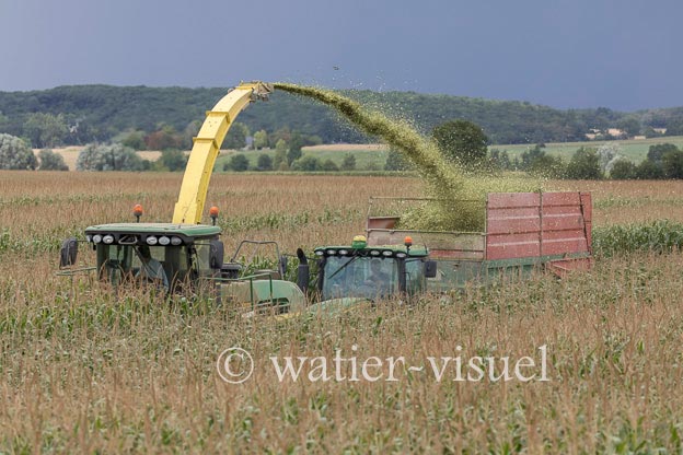 1220D773