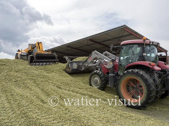 1220D950