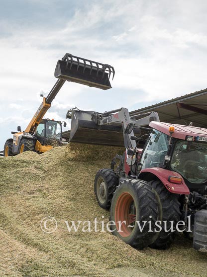 1220D990
