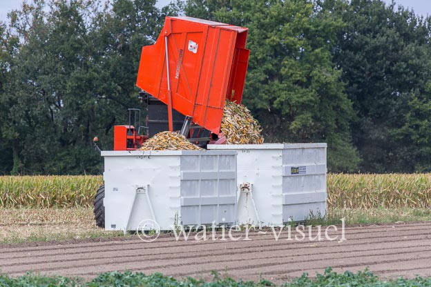 1172D317