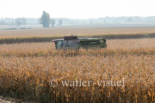 1207D655