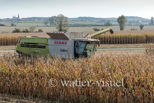 1207D667