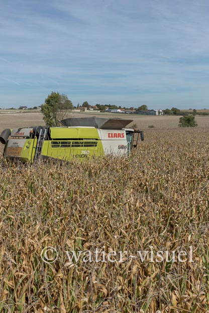 1207D677