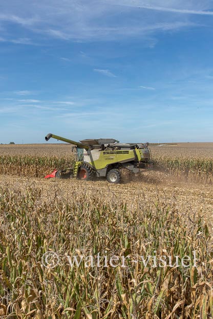 1207D710