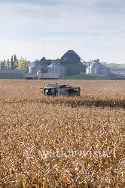 1207D740