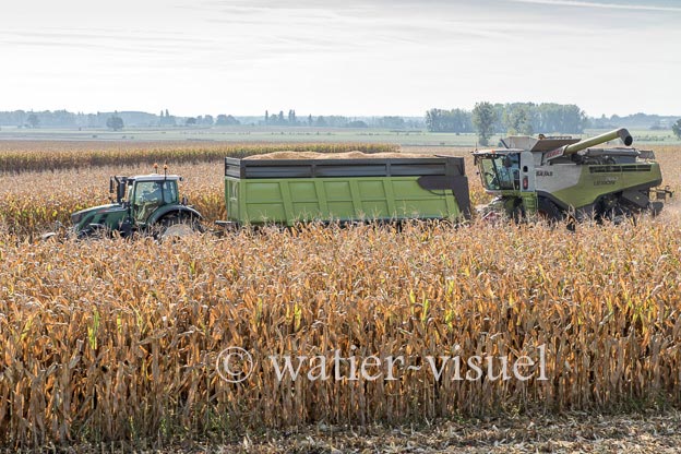 1207D767