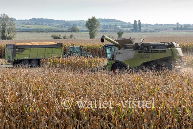 1207D768