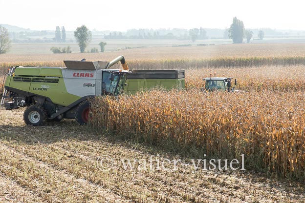 1207D790