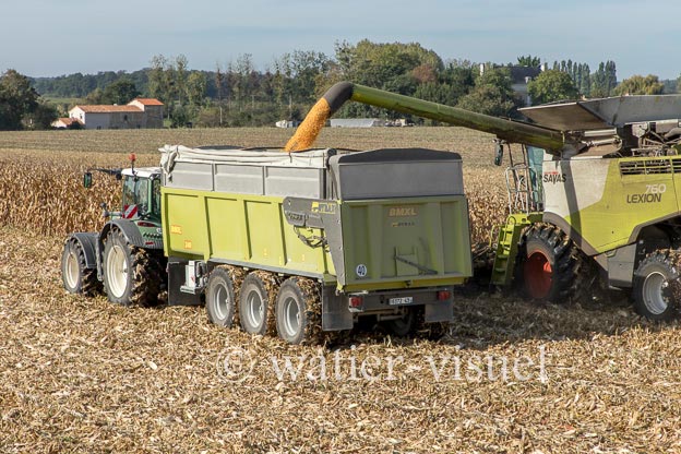 1207D807