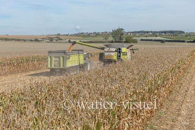 1207D850